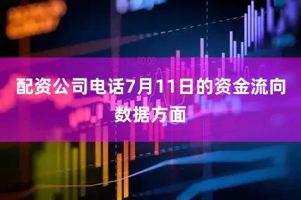 配资公司电话7月11日的资金流向数据方面
