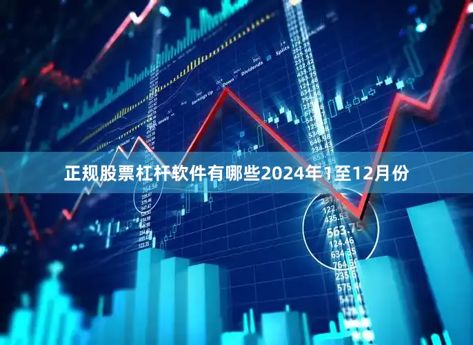 正规股票杠杆软件有哪些2024年1至12月份