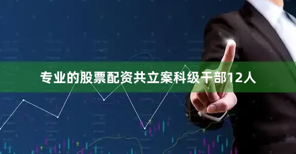 专业的股票配资共立案科级干部12人