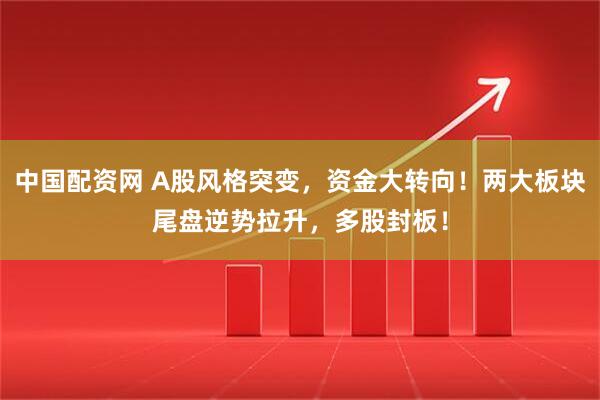 中国配资网 A股风格突变，资金大转向！两大板块尾盘逆势拉升，多股封板！