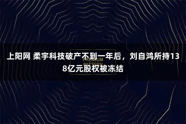 上阳网 柔宇科技破产不到一年后，刘自鸿所持138亿元股权被冻结