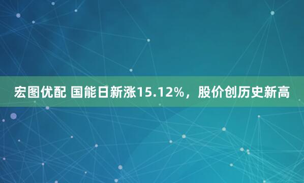 宏图优配 国能日新涨15.12%，股价创历史新高